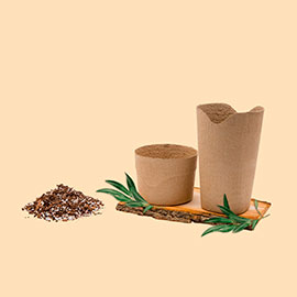 Ánforas Biodegradables